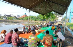 Babinsa Desa Gedangrowo Bersama Poktan Sejahtera Lakukan Gerakan Pengendalian OPT