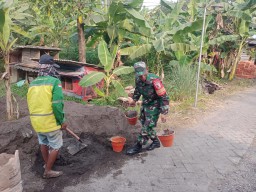 TNI Menyatu dengan Rakyat, Babinsa Damarsi Dampingi Percepatan Bedah Rumah demi Hunian Layak dan Bermartabat