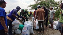 Babinsa Desa Rejeni Dampingi Petani Pasca Panen: Sinergi TNI dan Petani untuk Kesejahteraan dan Ketahanan Pangan di Krembung
