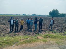 Babinsa Krian Dampingi Dinas Pangan Sidoarjo Laksanakan Survei Lahan Tebu di Desa Jeruk Gamping