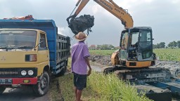 Satgas TMMD ke-126 Kodim 0816/Sidoarjo Genjot Normalisasi Sungai Afur di Desa Kedondong untuk Cegah Banjir dan Dukung Pertanian