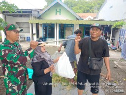 Babinsa Balongbendo Dampingi Ubinan Padi, Wujud Sinergi TNI dan PPL Dukung Produktivitas Pertanian di Desa Suwaluh