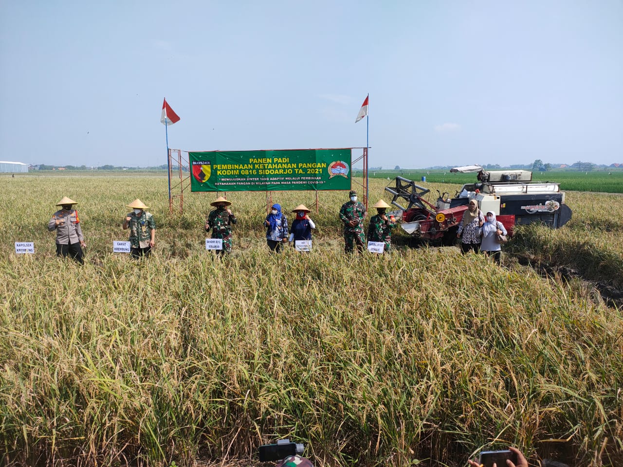 Panen Raya bersama Dandim 0816/Sidoarjo di Desa Rejeni Kec. Krembung