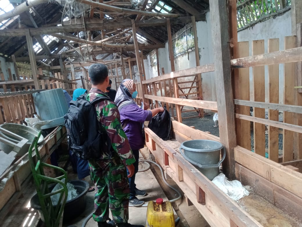 Babinsa Koramil 0816/13 Dampingi Petugas Kesehatan Vaksinasi Hewan Ternak