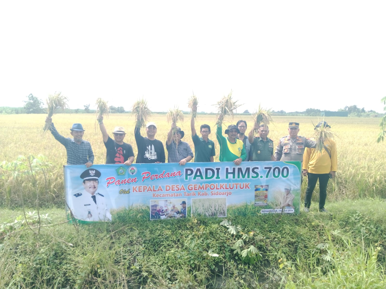 Panen Perdana Padi HMS.700 di Gempolklutuk, Bukti Sinergi Sukses Forkopimka Tarik Bersama Petani