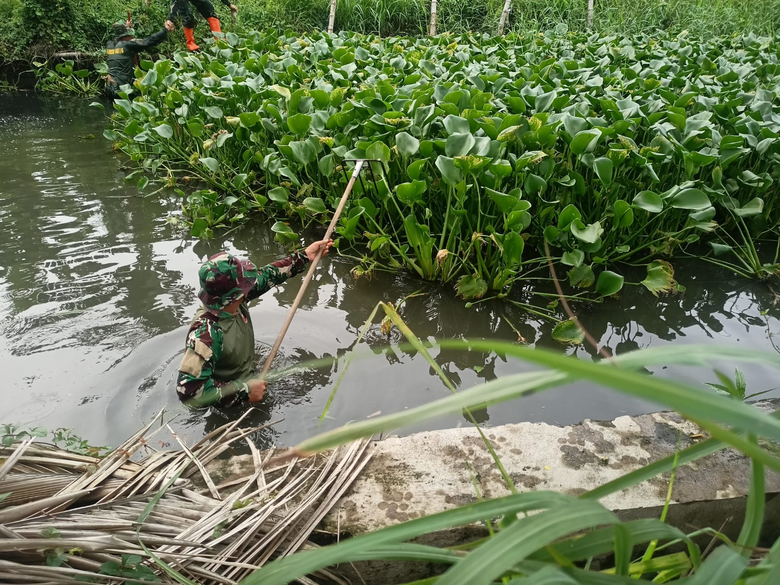 Karya Bakti Forkopimka Waru, Bersihkan Sungai Cantel Desa Tambaksawah Demi Lingkungan Lebih Baik