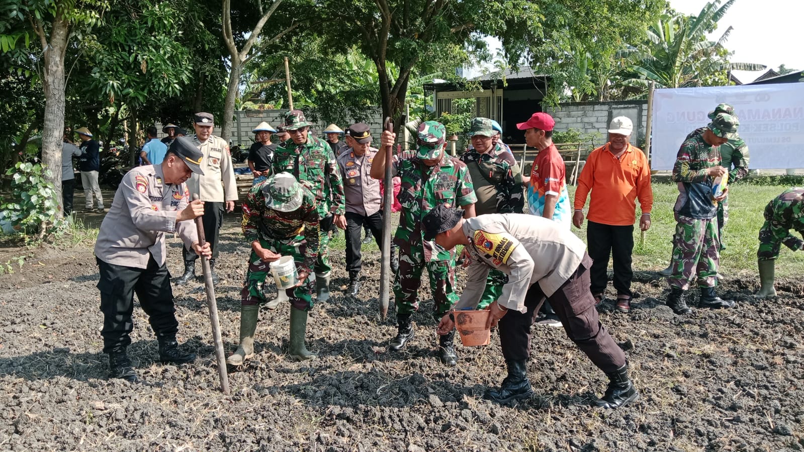 Forkopimka Krembung Tanam Jagung di Lahan TKD Lemujut: Wujud Nyata Sinergi untuk Ketahanan Pangan
