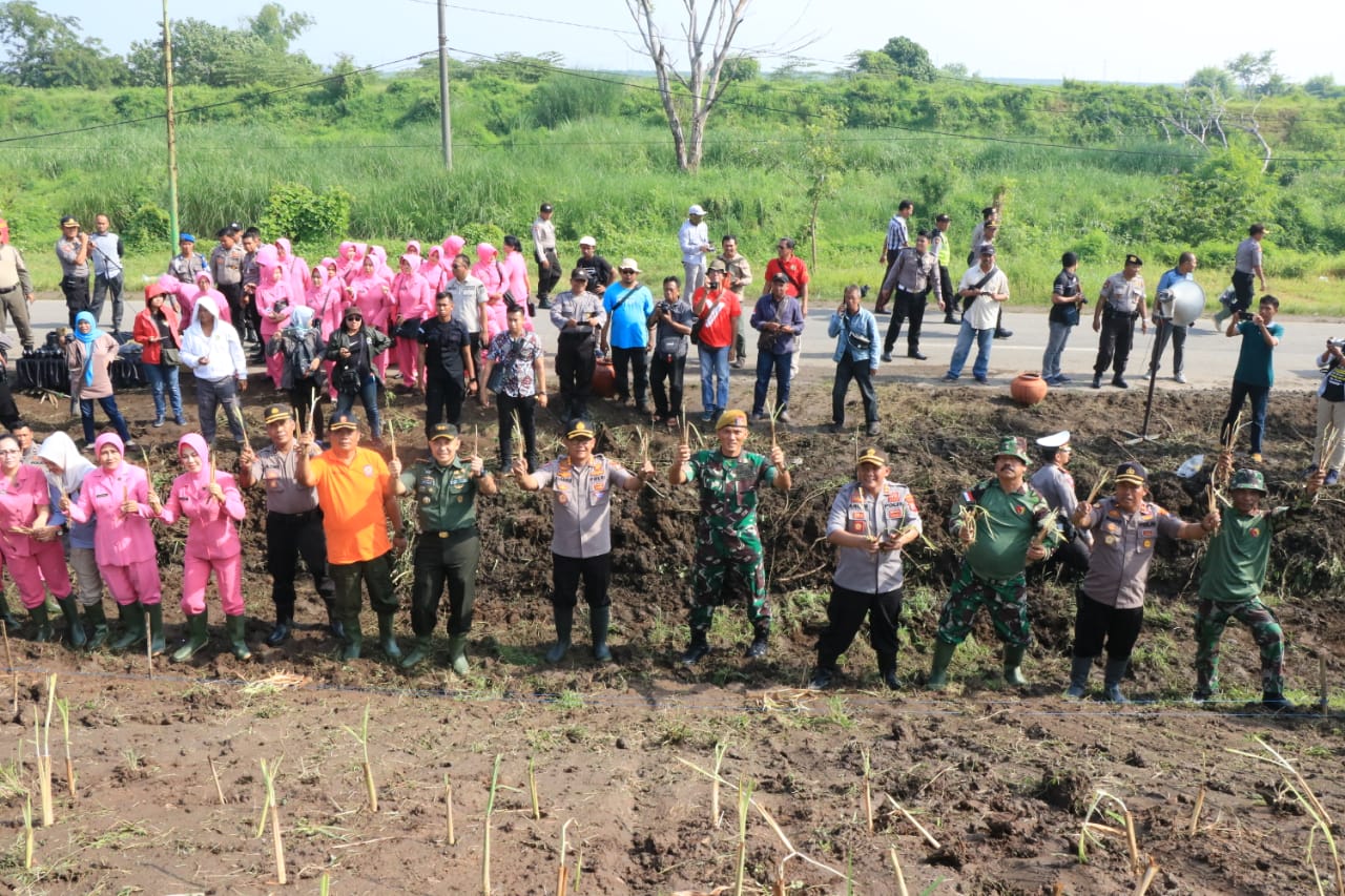 Cegah Longsor dan Banjir, Puluhan Anggota TNI/Polri tanam vertiver