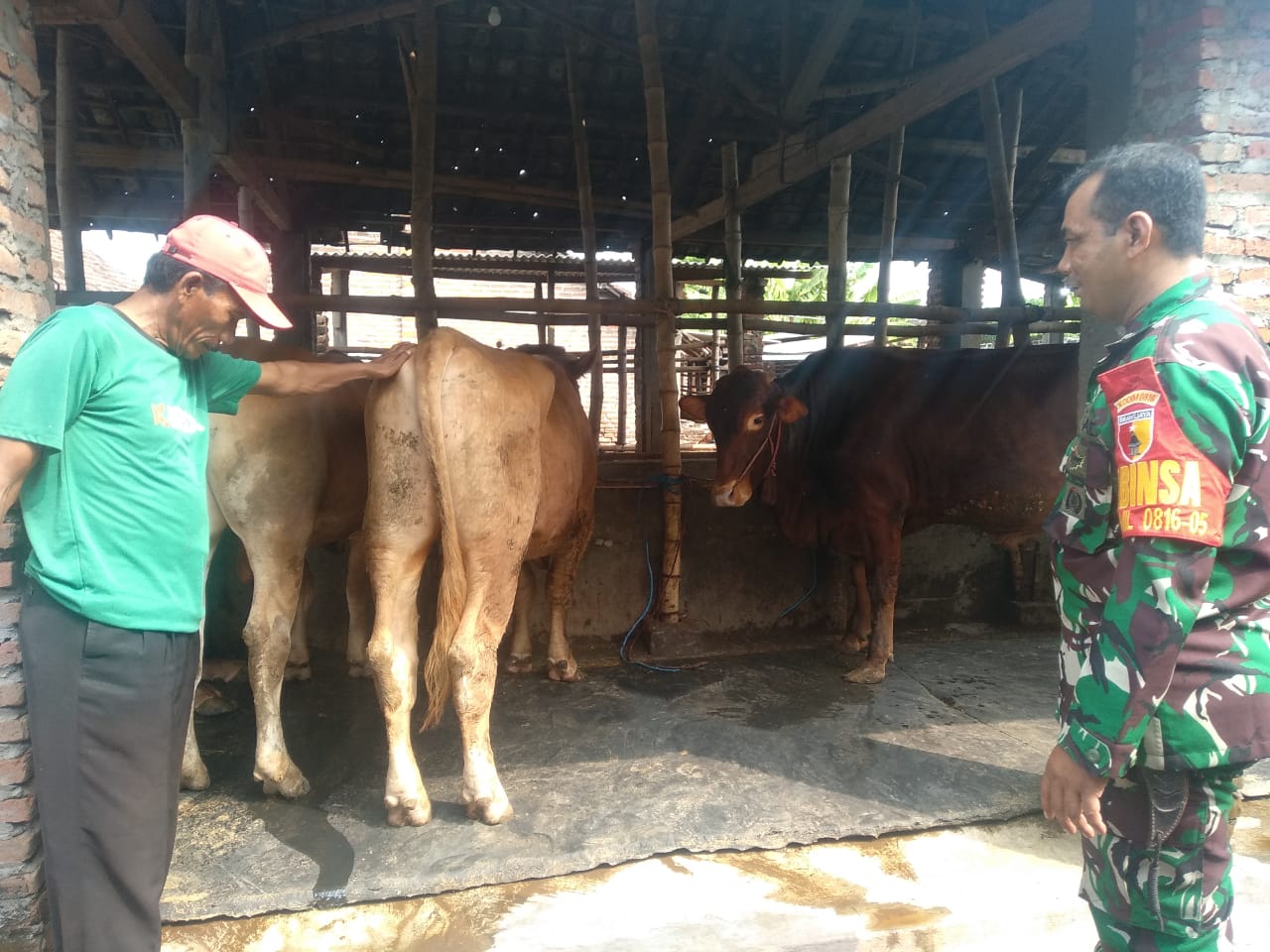 Serma Edi Babinsa Koramil 0816/05 Komsos dengan Peternak Sapi di Desa Binaan