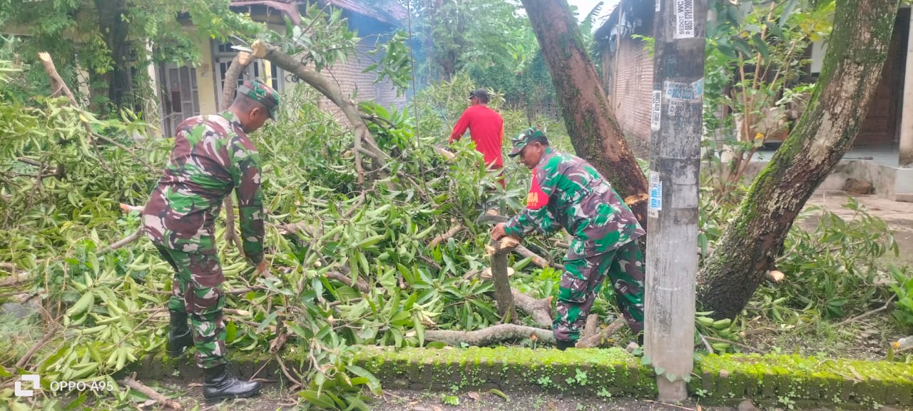 Antisipasi Banjir Babinsa Koramil 0816/11 Tarik Bersama Warga Masyarakat Desa Kalimati Melaksanakan Gotong Royong Bersihkan Sungai