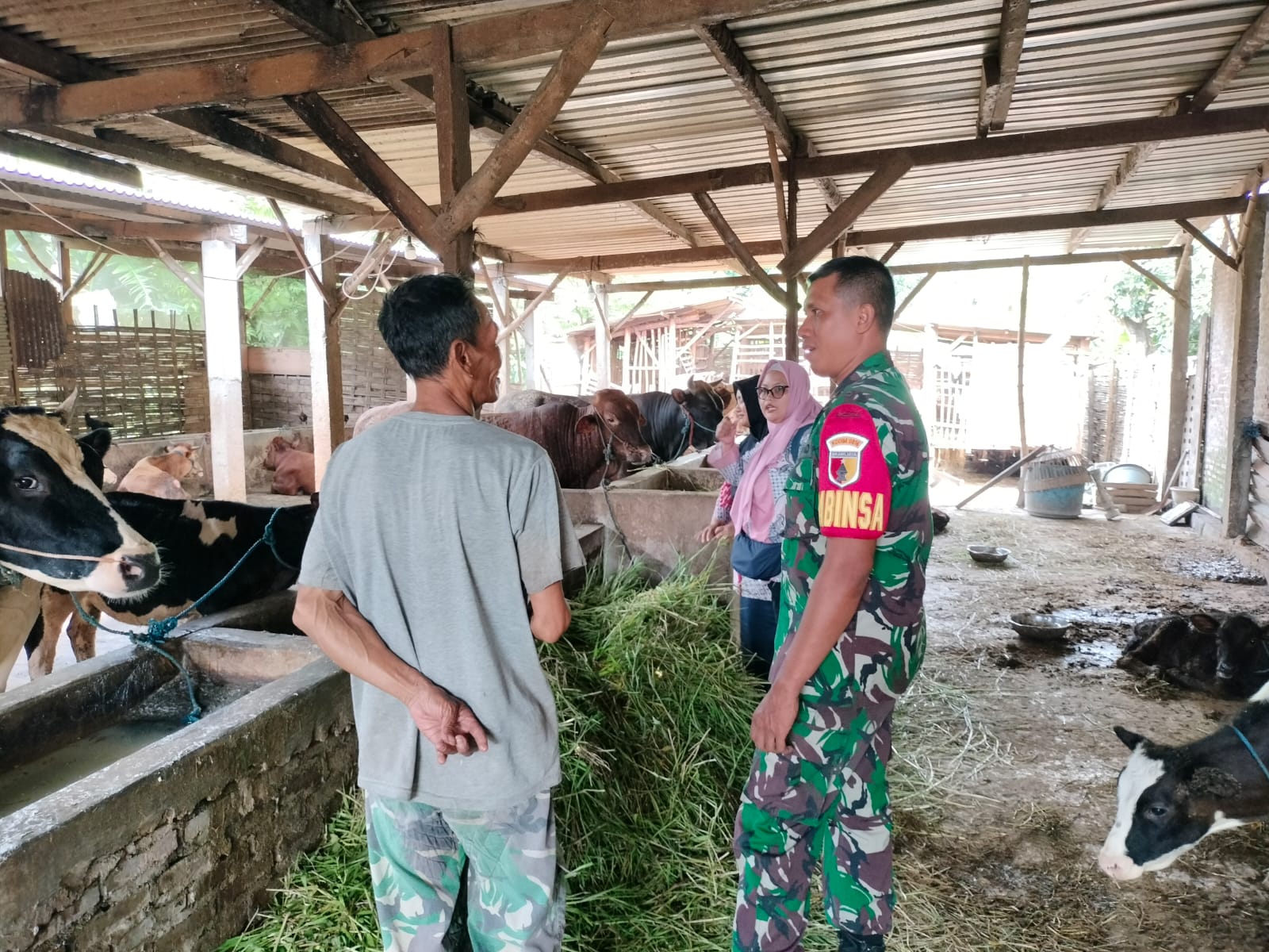 Babinsa Desa Becirongengor Dampingi Dinas Pertanian dan Peternakan Kabupaten Sidoarjo dalam Pengecekan PMK