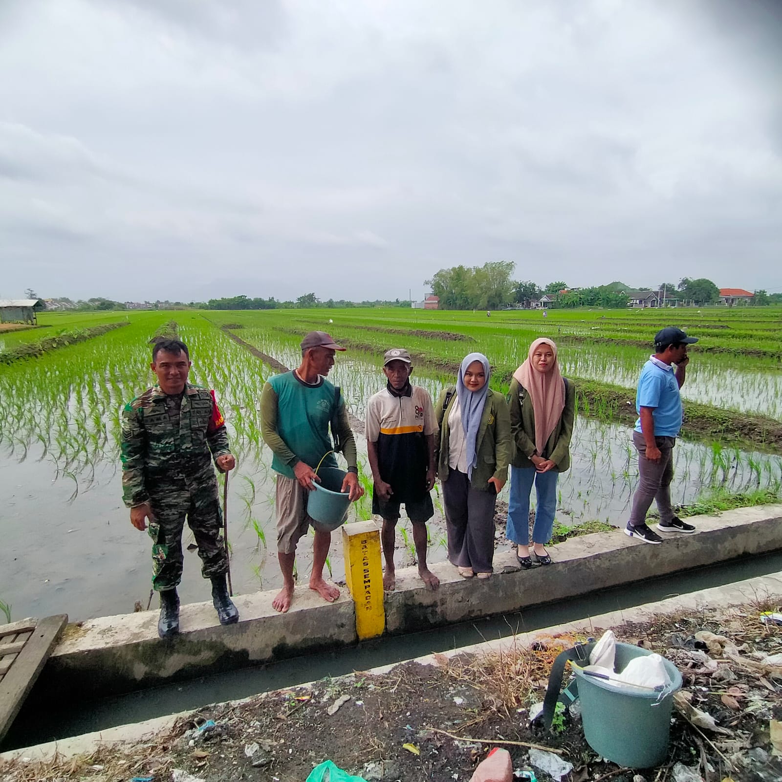 Babinsa Koramil 0816/15 Sukodono Dampingi Petani Desa Wilayut dalam Upaya Peningkatan Ketahanan Pangan