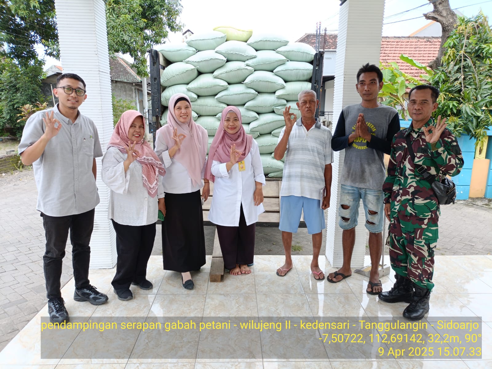 Babinsa Koramil 0816/06 Tanggulangin Bersama Tim Bulog Dampingi Panen Padi Petani Kedensari, 9 Ton Gabah Siap Diserap