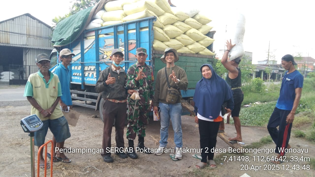Kehadiran Babinsa di Tengah Panen Petani Becirongengor Tebarkan Semangat dan Harapan