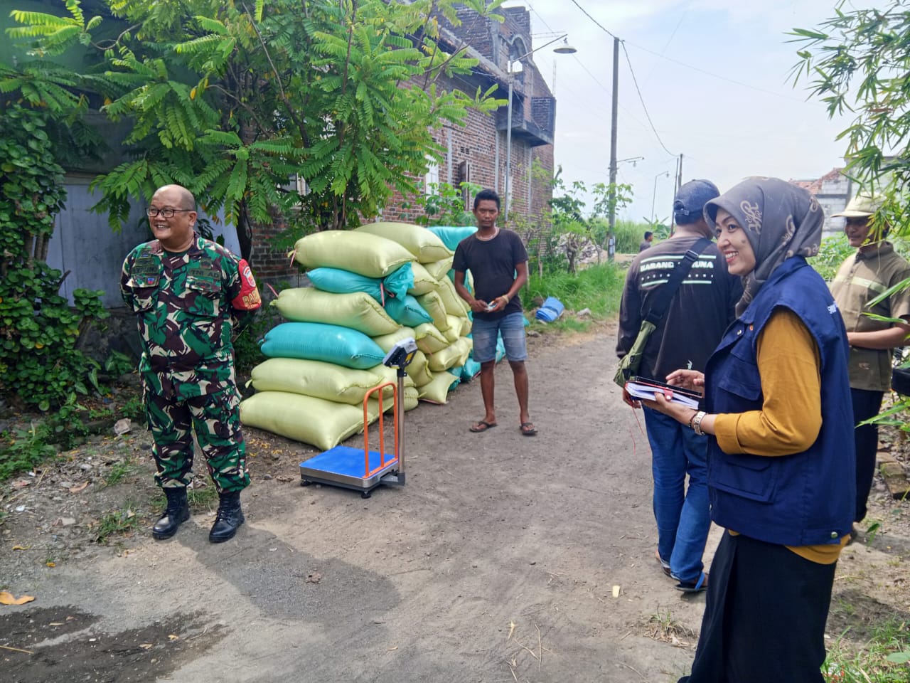 Sinergi Penuh Harapan di Sawah Kesambi, TNI Dampingi Petani Raih Panen Melimpah