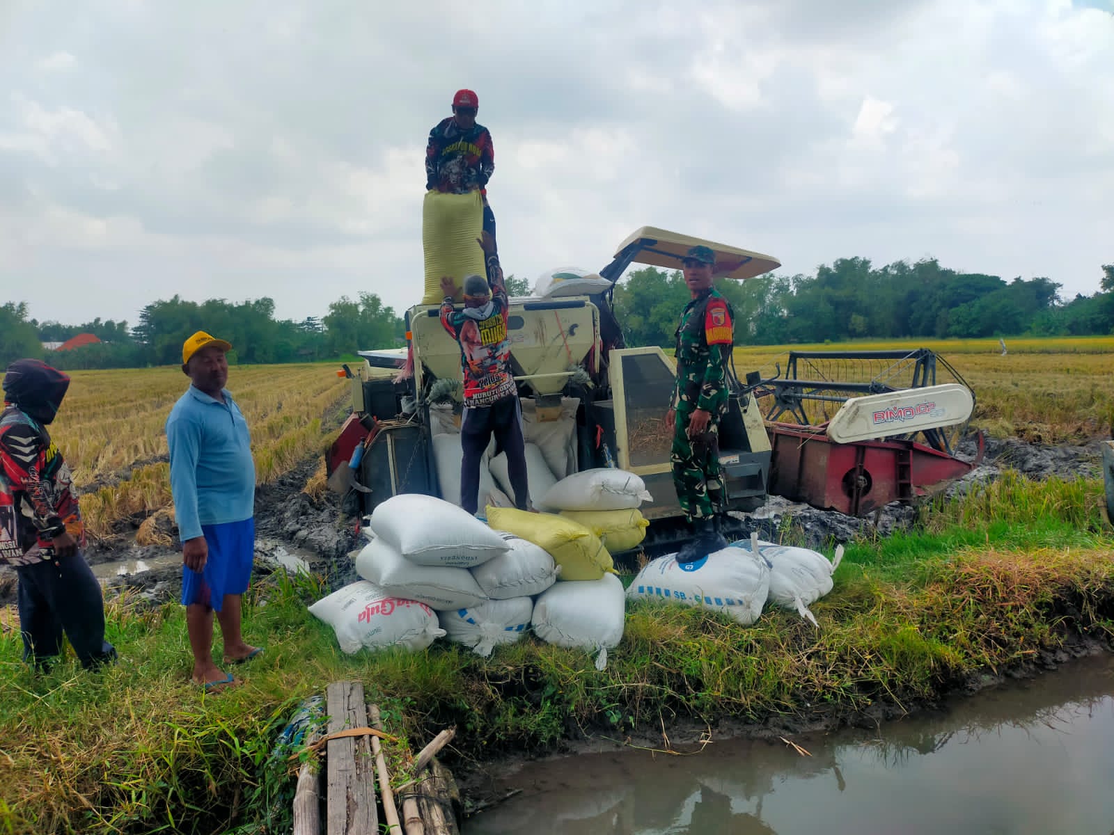 Serda Saiful Rizal Kawal Panen Petani Becirongengor Demi Kesejahteraan dan Ketahanan Pangan